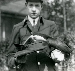 アカハシオオハシが帽子からチケットを引き、キーパーC.ハーシー、ロンドン動物園、1923年に開催（bw写真）